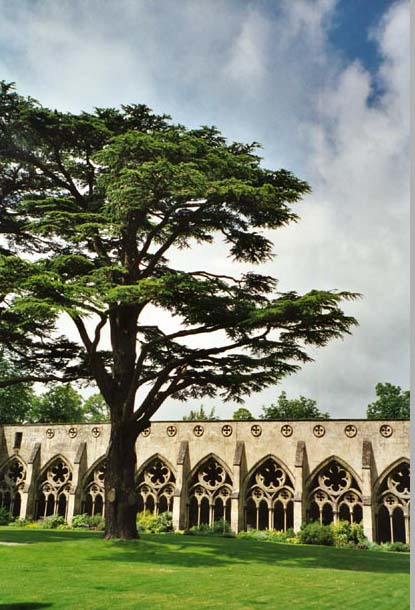 england037.jpg - 66523 Bytes