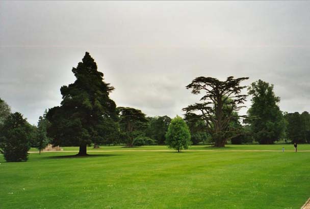 england054.jpg - 30768 Bytes