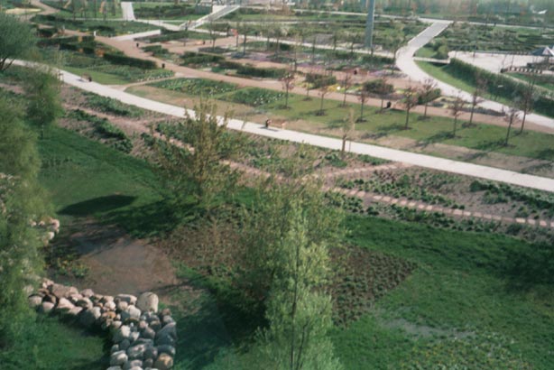 igahro03.jpg - 54239 Bytes