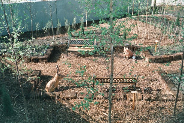 igahro14.jpg - 97765 Bytes