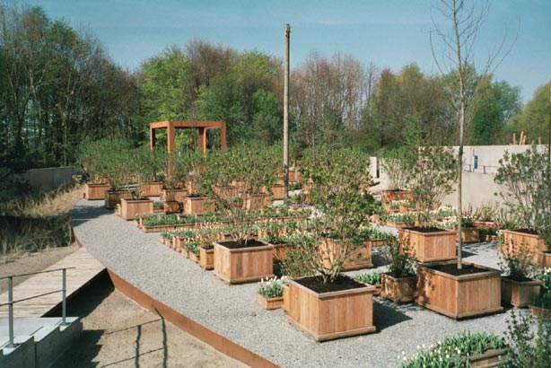 igahro15.jpg - 67610 Bytes