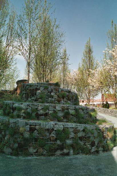 igahro33.jpg - 62429 Bytes