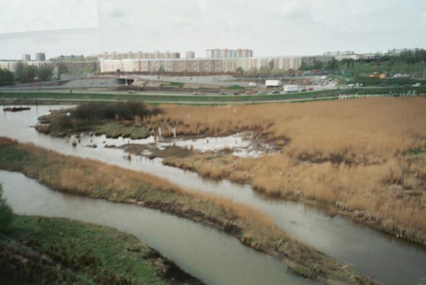 igahro72.jpg - 32620 Bytes