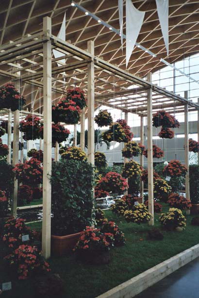 igahro91.jpg - 63451 Bytes