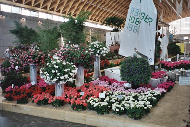 igahro93.jpg - 73151 Bytes