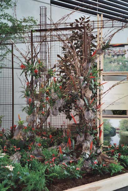 igahro94.jpg - 76501 Bytes