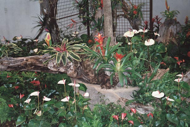 igahro95.jpg - 76133 Bytes