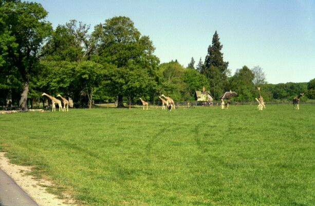 knuthenborg12.jpg - 53529 Bytes