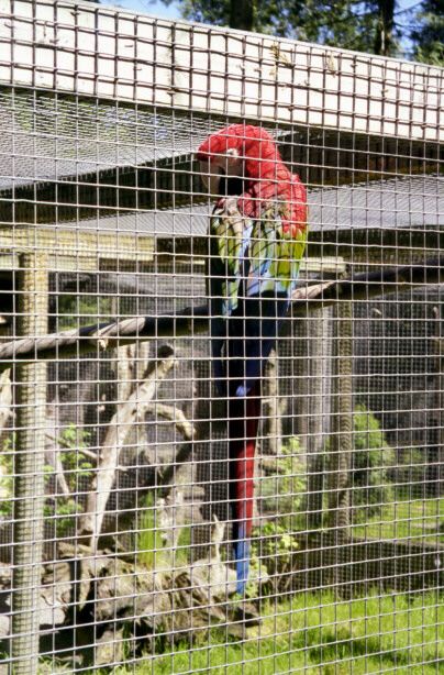 knuthenborg40.jpg - 82927 Bytes