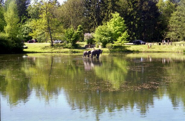 knuthenborg46.jpg - 62514 Bytes