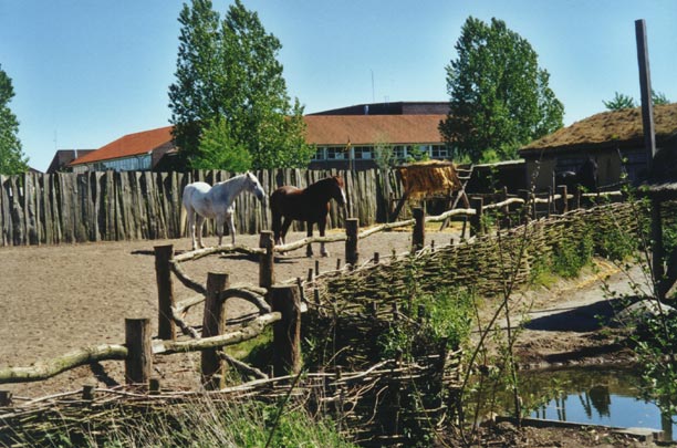 m_alter06.jpg - 74376 Bytes