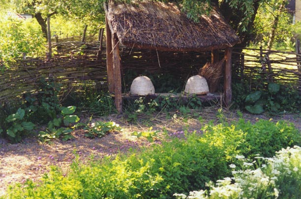 m_alter15.jpg - 83246 Bytes